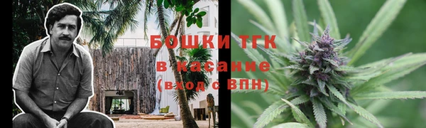 прущие крисы Гусев