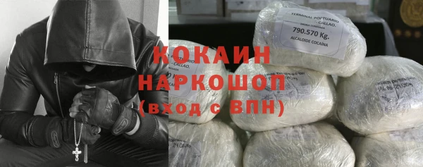 прущие крисы Гусев