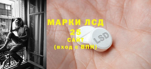 spice Гусиноозёрск