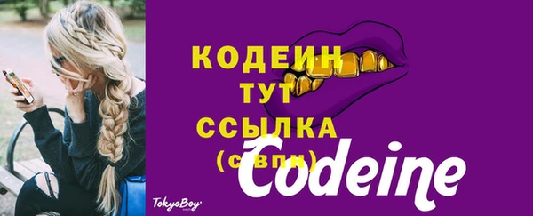ГАЛЛЮЦИНОГЕННЫЕ ГРИБЫ Гусь-Хрустальный