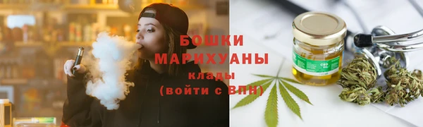 ГАЛЛЮЦИНОГЕННЫЕ ГРИБЫ Гусь-Хрустальный
