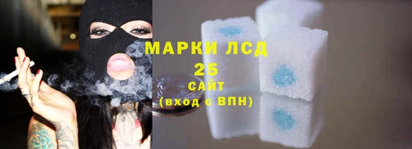 ГАЛЛЮЦИНОГЕННЫЕ ГРИБЫ Гусь-Хрустальный