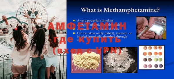 ГАЛЛЮЦИНОГЕННЫЕ ГРИБЫ Гусь-Хрустальный