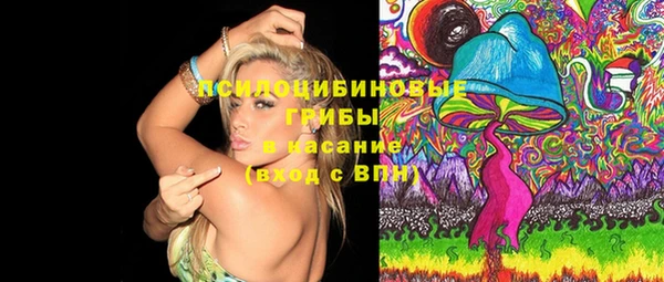 ГАЛЛЮЦИНОГЕННЫЕ ГРИБЫ Гусь-Хрустальный