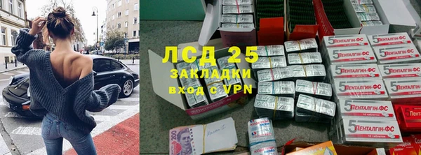 spice Гусиноозёрск