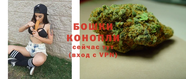 ГАЛЛЮЦИНОГЕННЫЕ ГРИБЫ Гусь-Хрустальный